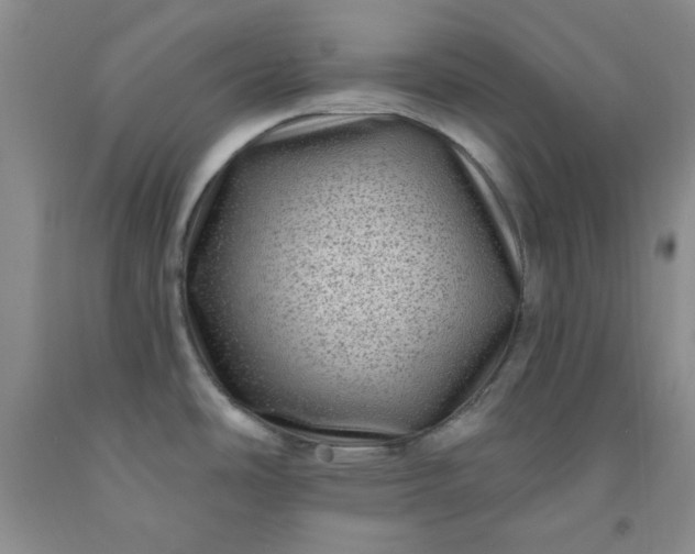 X0000091951486200709201312