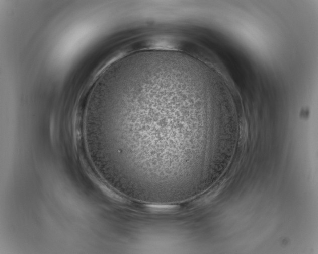 X0000091951487200709201312