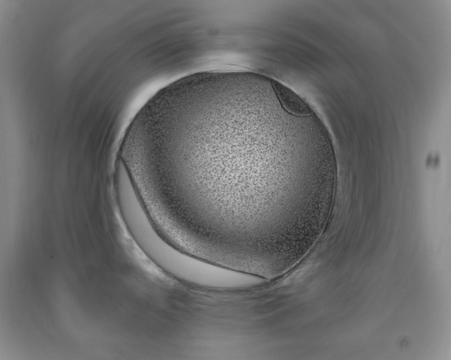 X0000091951488200709201312