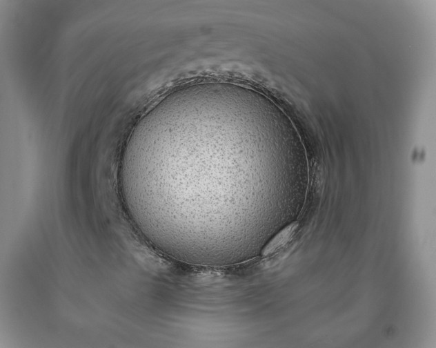 X0000091951489200709201312