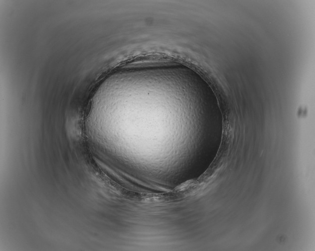 X0000091951490200709201312