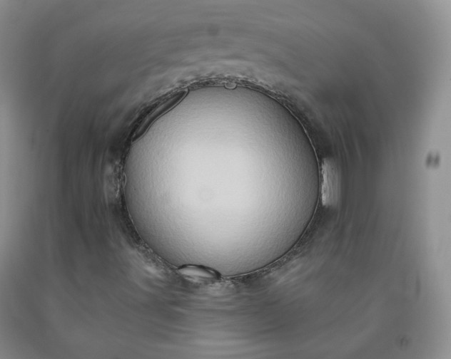 X0000091951491200709201312