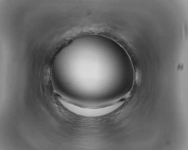 X0000091951492200709201312