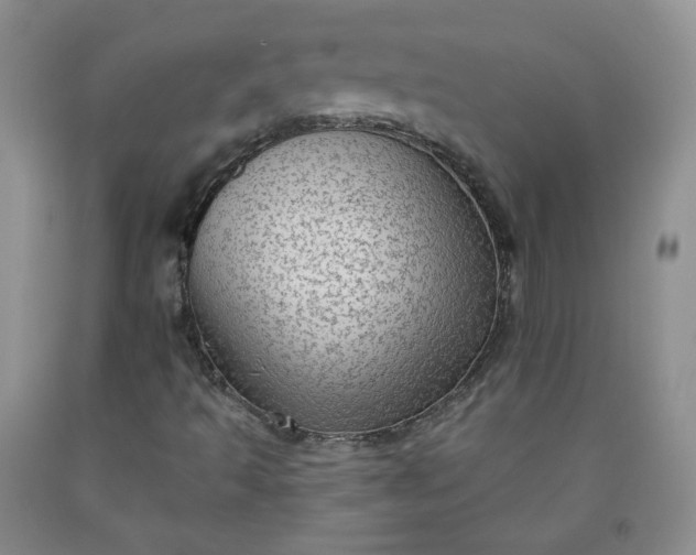 X0000091951493200709201312