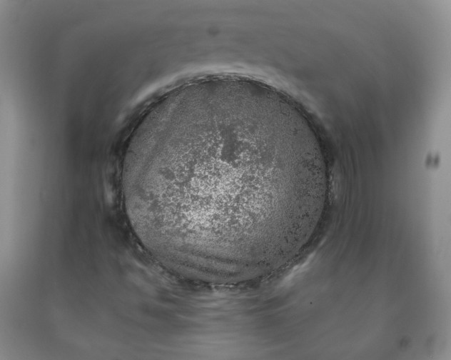 X0000091951494200709201312