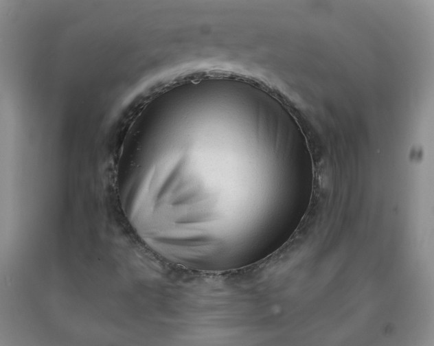 X0000091951495200709201312