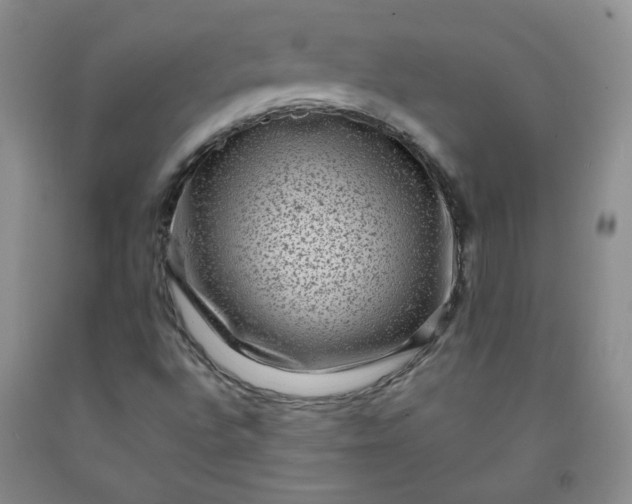 X0000091951496200709201312