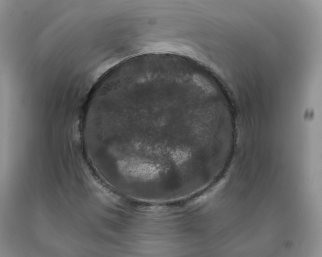 X0000091951497200709201312