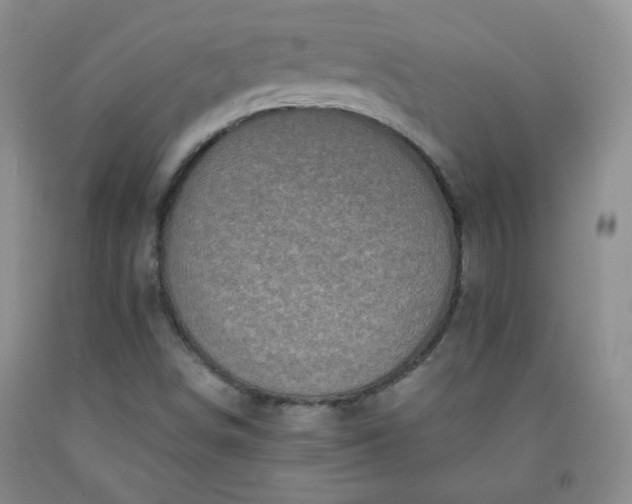 X0000091951498200709201312