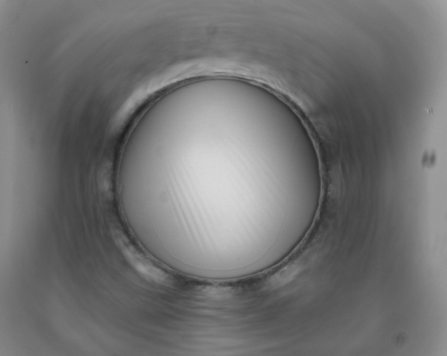 X0000091951499200709201312