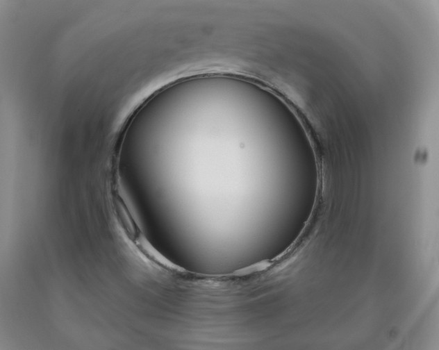 X0000091951500200709201312