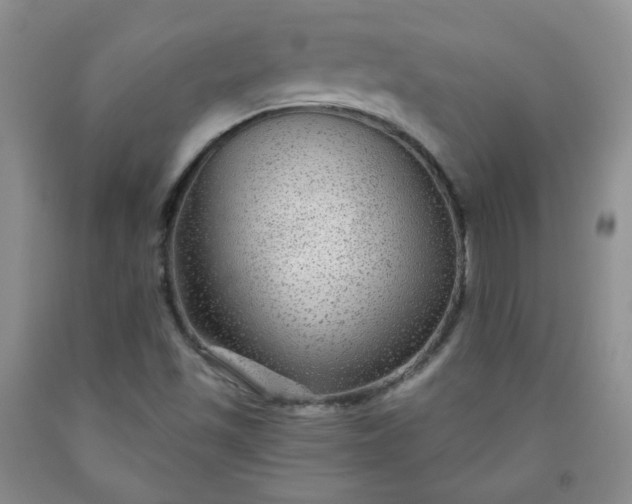 X0000091951501200709201312