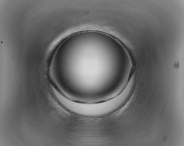 X0000091951502200709201312