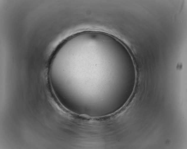 X0000091951503200709201312