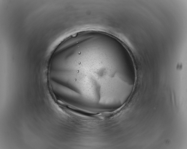 X0000091951504200709201312