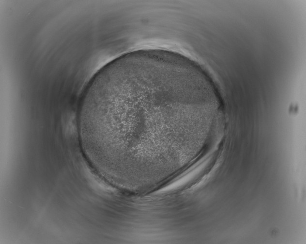 X0000091951505200709201312