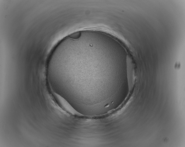 X0000091951506200709201312