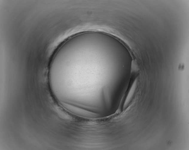 X0000091951507200709201312