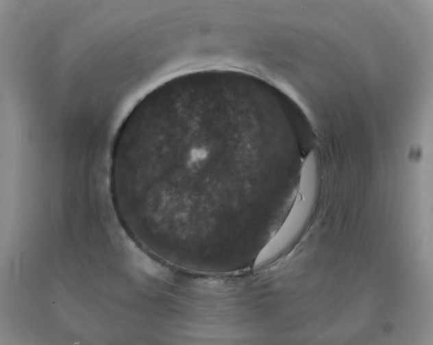 X0000091951508200709201312