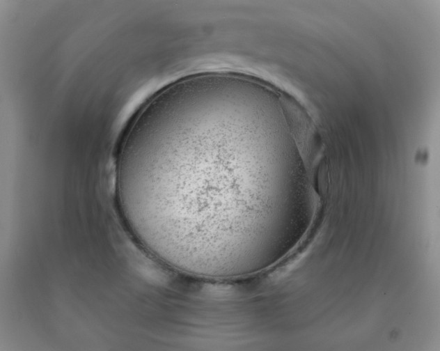 X0000091951509200709201312