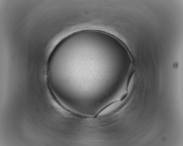 X0000091951511200709201312