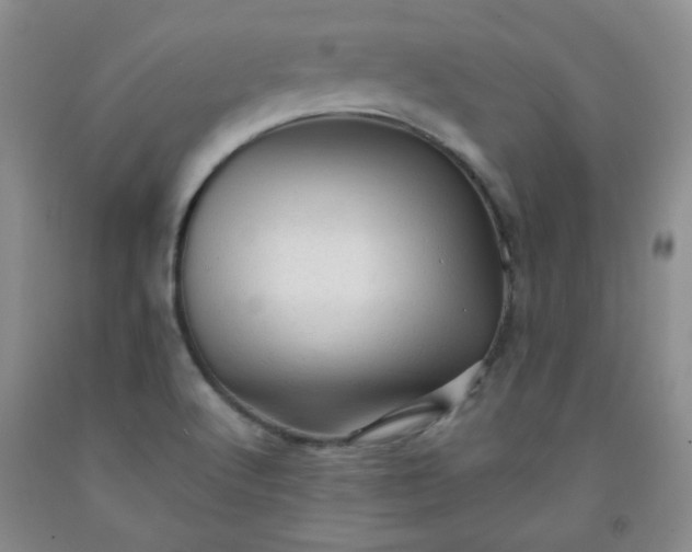 X0000091951512200709201312