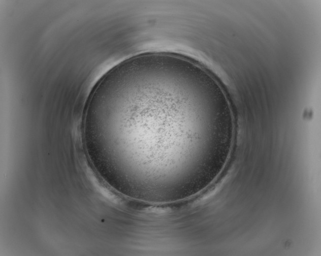 X0000091951513200709201312