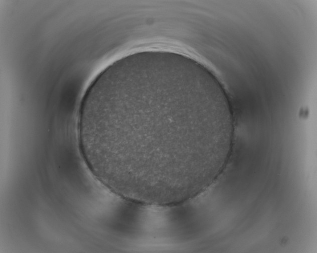 X0000091951514200709201312