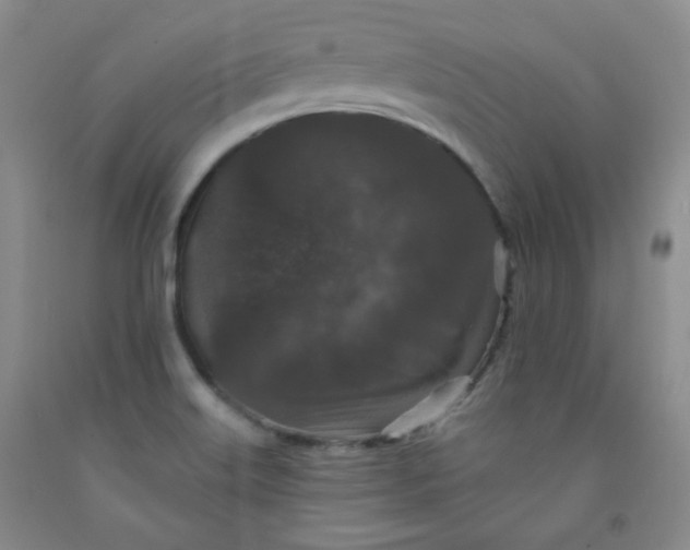 X0000091951515200709201312