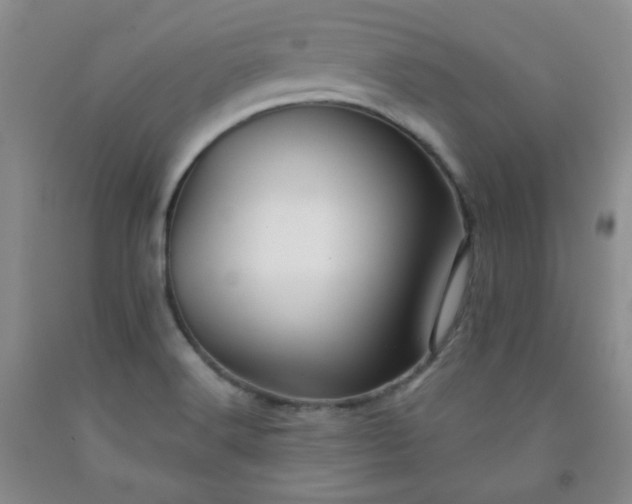 X0000091951516200709201312