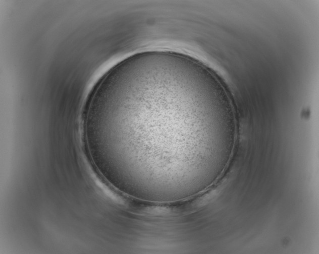 X0000091951517200709201312