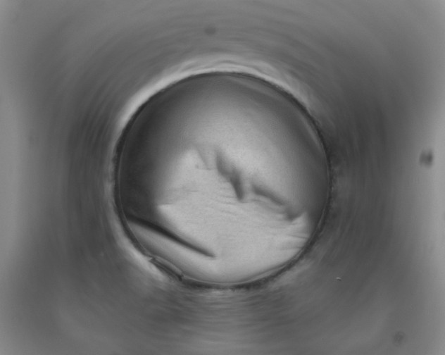 X0000091951518200709201312