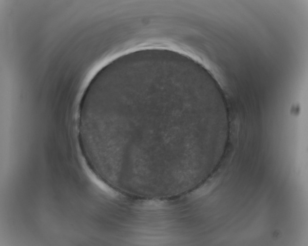 X0000091951519200709201312