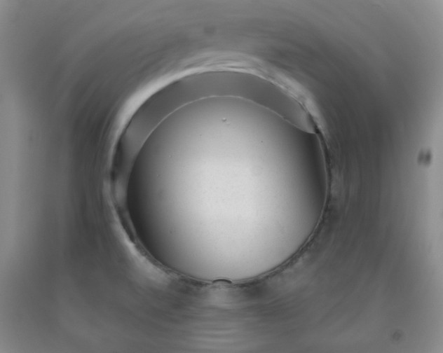 X0000091951520200709201312