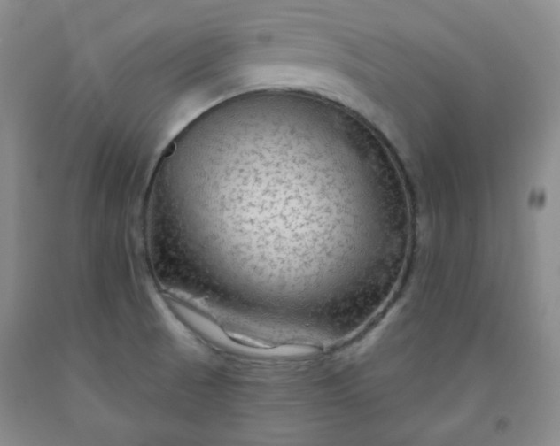 X0000091951521200709201312