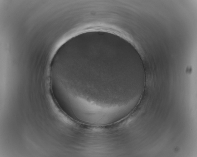 X0000091951522200709201312