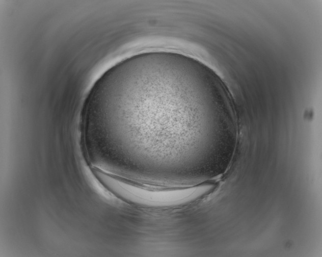 X0000091951523200709201312