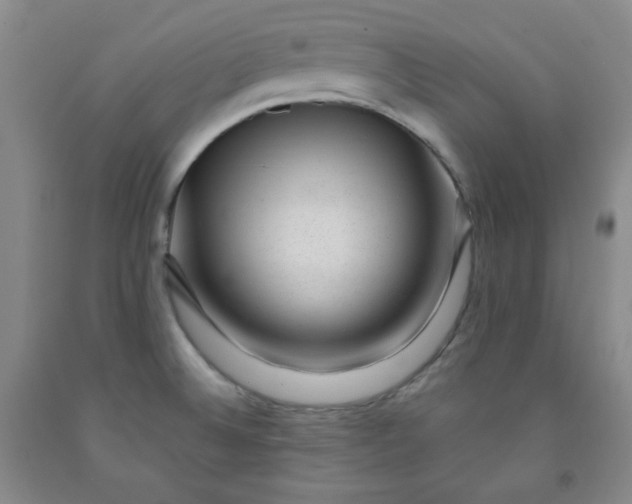 X0000091951524200709201312