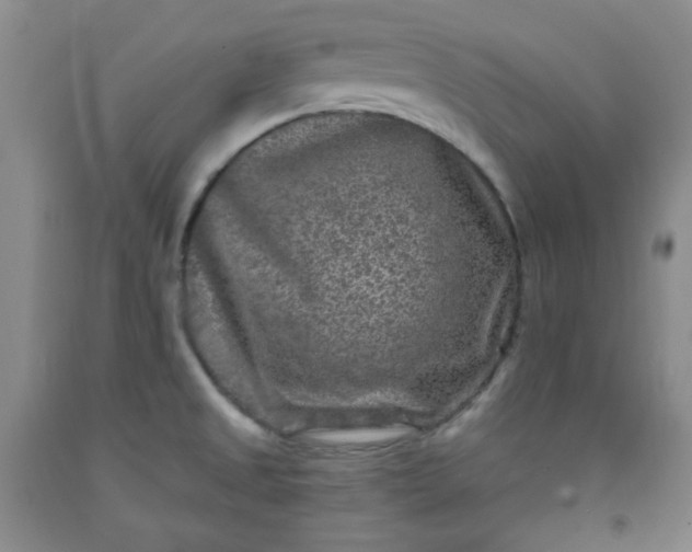 X0000091951525200709201312