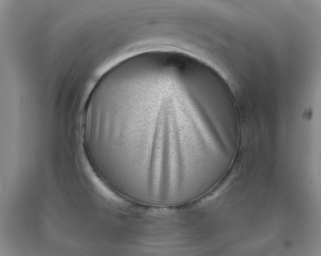 X0000091951526200709201312