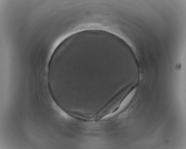 X0000091951527200709201312