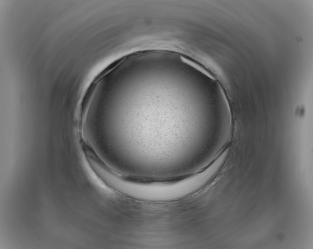 X0000091951528200709201312