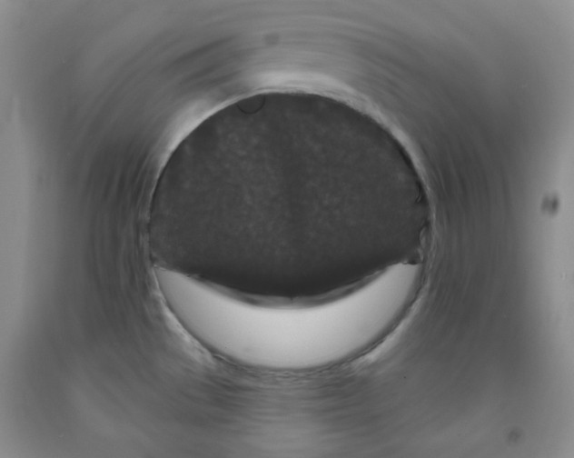 X0000091951529200709201312