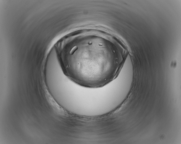 X0000091951530200709201312