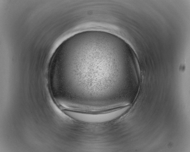 X0000091951531200709201312