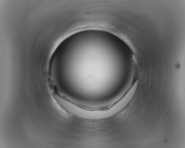 X0000091951532200709201312