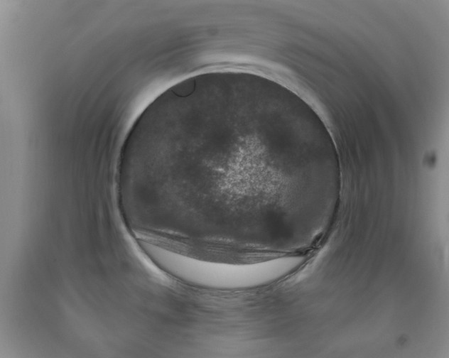 X0000091951533200709201312