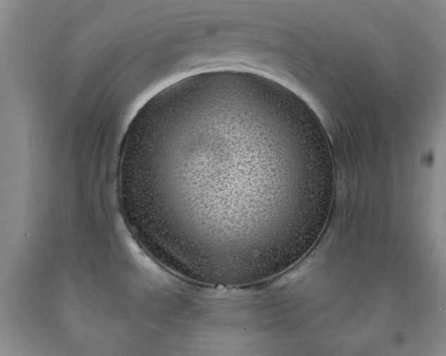 X0000091951534200709201312