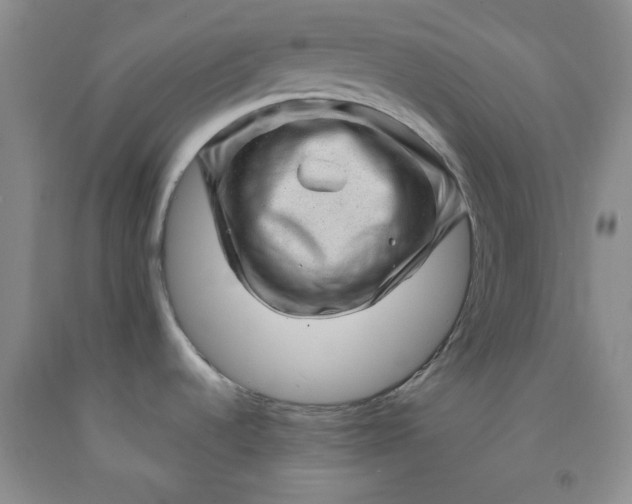 X0000091951536200709201312