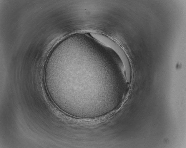 X0000091950001200709271335